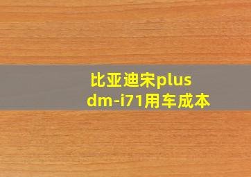 比亚迪宋plus dm-i71用车成本